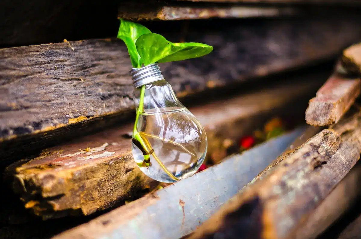 innovation  performance